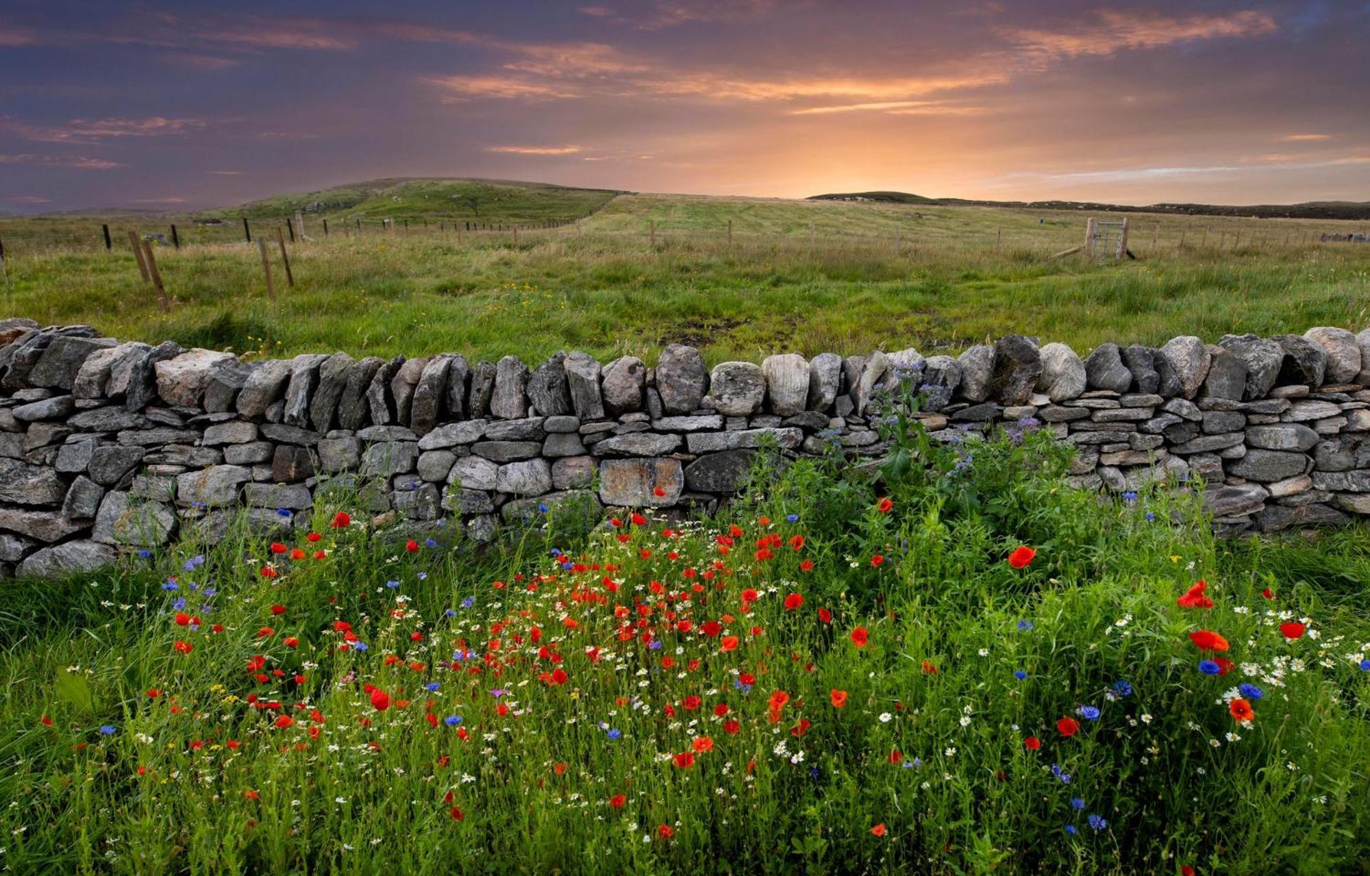 21 Callanish Luxury Pod المظهر الخارجي الصورة